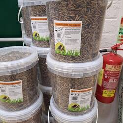 Hatte leider keine Angel dabei