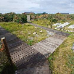 Friedhof der Namenlosen