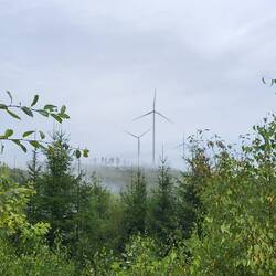 Welch ein Kontrast zu gestern.