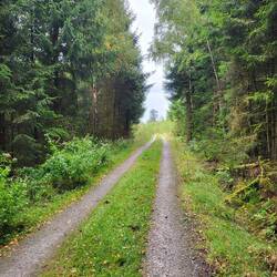 Doch ich nehme lieber den Wanderweg.😀