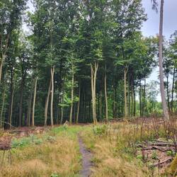 Meine Lieblingswege.