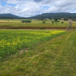 Am Ende der Tour geht es durch offenes Gelände.