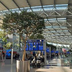 Düsseldorf Airport - immer wieder schön!