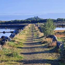 Der tolle Weg, der mich so an Schottland erinnert