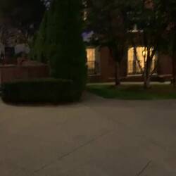 Wir hatten mit Max eine super tolle Stadtführung. Eine sehr schöne Stadt , sehr alte tolle Häuser !