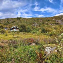 Daheim herbstelt es schon