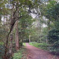We begin our walk onto the Roman camp