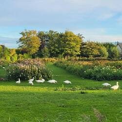 Schönes Licht bei unserem Abendspaziergang.