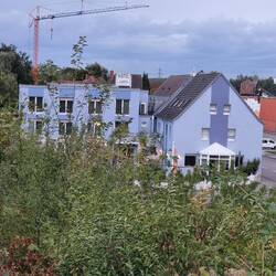 Unser Hotel "Vater Rhein"