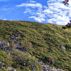 Der winzige Punkt auf dem Hügel, das ist sie