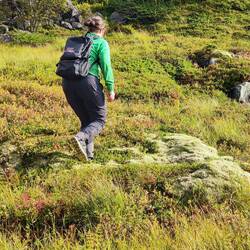 Lila stapft den Hang hoch