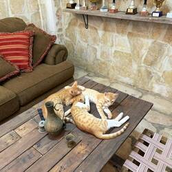 Just hanging out in the lobby