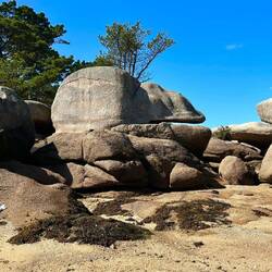 Wer sieht die Maus 🐭