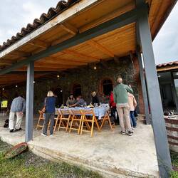 Vineyard lunch