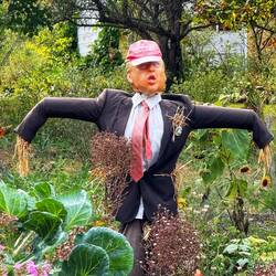 Love the canadian Farmers🤣