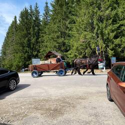 Pferdekutsche, Zweispänner