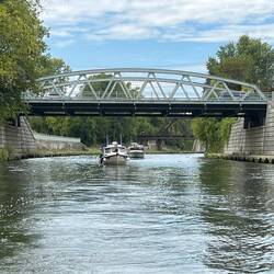 C-Otter and Mystery Girl