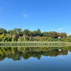 Some more homes along the Canal