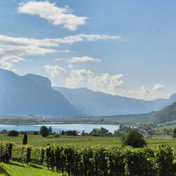 Blick zum Kalterer See