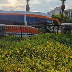 Our mode of transportation