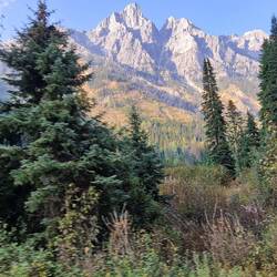 ....Über den Rogers Pass (1330 m)....