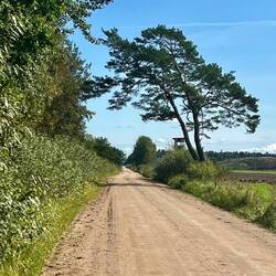 (n)irgendwo in Afrika