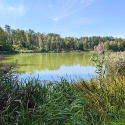 Bieberteich