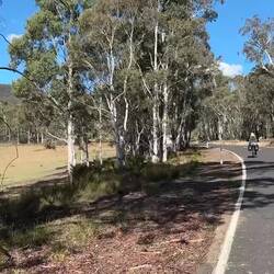 Skipping across our path, and to our left (see past the trees)!