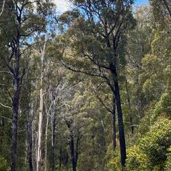 The long and winding road (quiet and a joy to cycle)