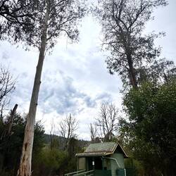 Goongerah camp and our shelter for the night
