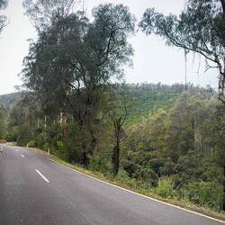 A long climb but a nice, steady, gentle gradient