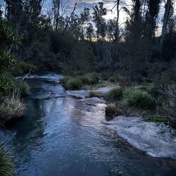 Goongerah creek