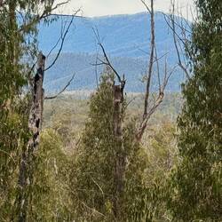 A glimpse of wooded hills, all around, stretching as far as we could see