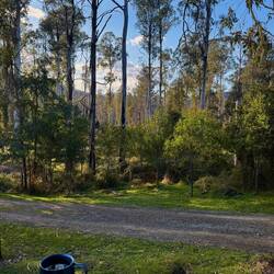 Feeling drugged by the tranquility of the place we were slow to pack up, instead supping hot tea