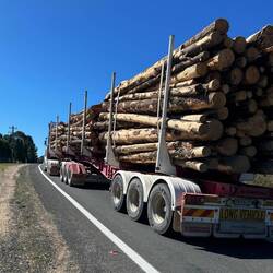 Large logging trucks outside Bombala, sucking air like a monster