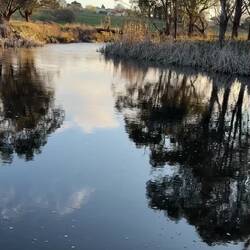 An impression of silky fur. Beak. Webbed foot. Doing its merry thing, right in front of us.