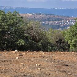 Notice the border wall