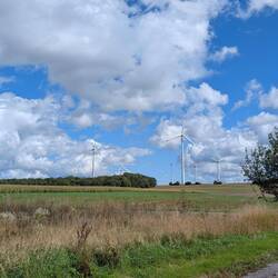 ... gegen den wind