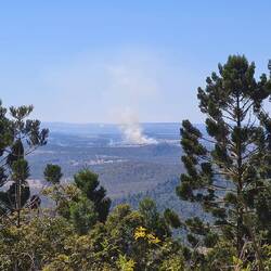 Da hinten brennt es - aber vermutlich kontrolliert