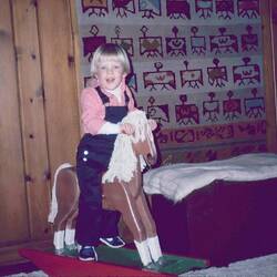 Home-made Rocking-Horse