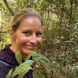 Tief durchs Dickicht.