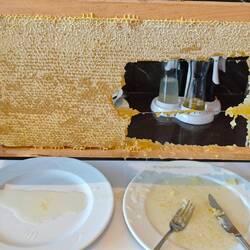 Honigwabe zum Essen