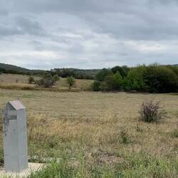 Schafherde - die Hunde beobachten mich