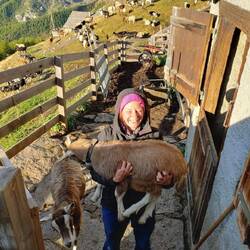 Langsam wird er etwas schwer der kleine ;)