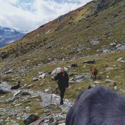 Und meiner lieben Anna :)