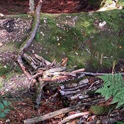 Überweg für Hobbits