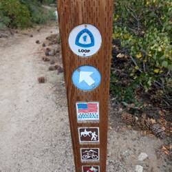 I walked on my FIRST trail since surgery! I felt like a child.