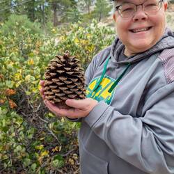 We are both blown away by the size of the pinecones