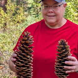 Bigger pinecones!!