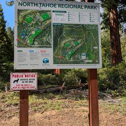 We didn't see any coyotes